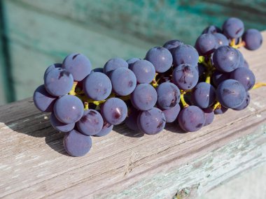 Kırmızı üzüm yırtık bir sürü eski bir gemide yatıyor.