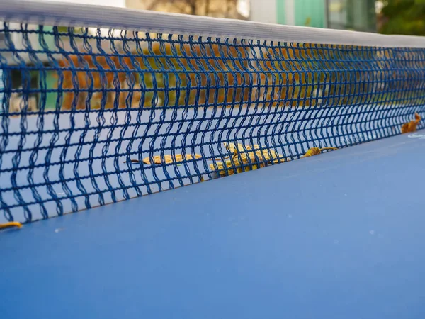 Mesh on table for table tennis (ping-pong) with fallen leaves autumn in the park.