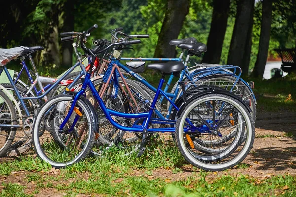 Bielorussia Zalesie Agosto 2019 Parcheggio Biciclette All Aperto Sul Prato — Foto Stock