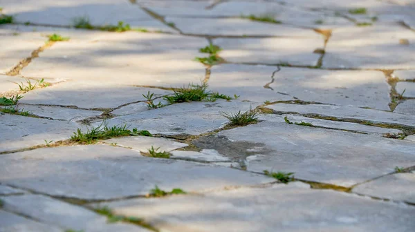 Perspective View Monotone Gray Stone Ground Street Road Pavement Vintage — Stock Photo, Image