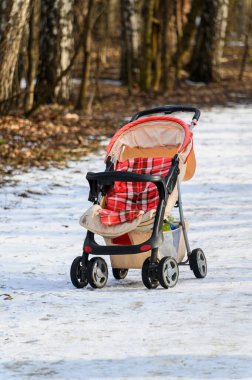Park 'ta yolda boş bir bebek arabası..