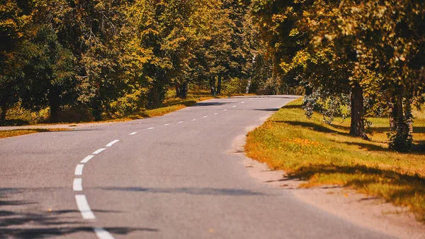 A deserted road in the autumn forest. Beautiful autumn landscape.