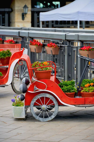 Rússia Kazan Junho 2019 Cama Flores Com Flores Forma Carro — Fotografia de Stock