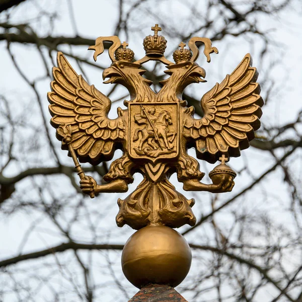Coat of arms of Russia in gold close-up in the open air. Coat of arms of Russia close-up.