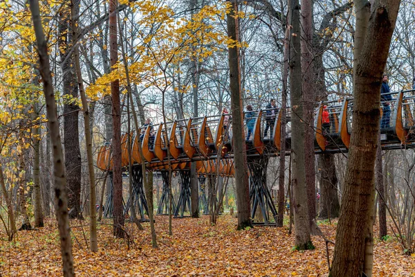 Hängende Holzbrücke Über Den Park Umweltfreundlicher Pfad Park Zum Wandern Stockfoto