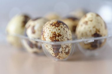 Plastik bir kutuda bıldırcın yumurtası. Küçük renkli bıldırcın yumurtaları..