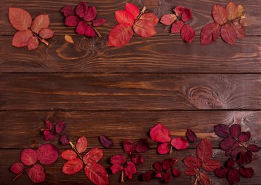 Koyu ahşap backgro sonbahar Kızıl yapraklar düz yatıyordu çerçeve