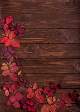 Koyu ahşap backgro sonbahar Kızıl yapraklar düz yatıyordu çerçeve