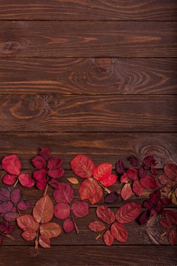 Koyu ahşap backgro sonbahar Kızıl yapraklar düz yatıyordu çerçeve