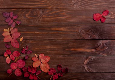 Koyu ahşap backgro sonbahar Kızıl yapraklar düz yatıyordu çerçeve