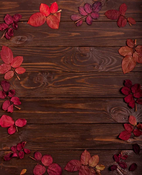 Koyu ahşap backgro sonbahar Kızıl yapraklar düz yatıyordu çerçeve