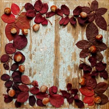 Sonbahar Kızıl yaprak, fındık ve ceviz o düz yatıyordu çerçeve