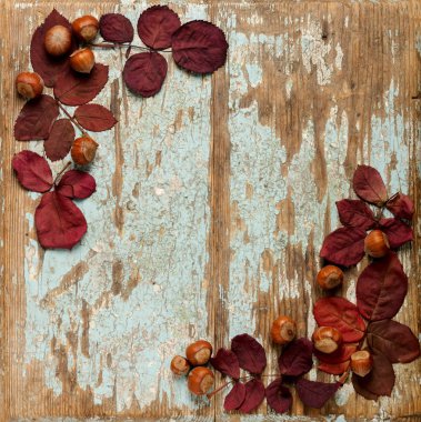 Sonbahar Kızıl yaprak, fındık ve ceviz o düz yatıyordu çerçeve