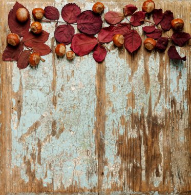 Sonbahar Kızıl yaprak, fındık ve ceviz o düz yatıyordu çerçeve