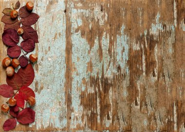 Sonbahar Kızıl yaprak, fındık ve ceviz o düz yatıyordu çerçeve