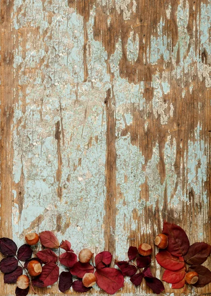 Sonbahar Kızıl yaprak, fındık ve ceviz o düz yatıyordu çerçeve