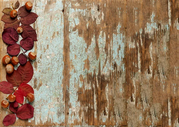 Sonbahar Kızıl yaprak, fındık ve ceviz o düz yatıyordu çerçeve