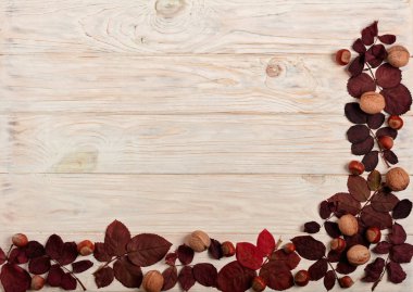 Sonbahar Kızıl yaprak, fındık ve ceviz o düz yatıyordu çerçeve