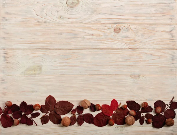 Sonbahar Kızıl yaprak, fındık ve ceviz o düz yatıyordu çerçeve