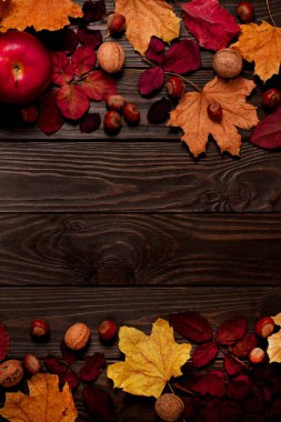 Düz yatıyordu çerçeve sonbahar koyu kırmızı ve sarı yapraklar, fındık, w