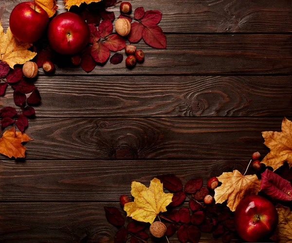 Düz yatıyordu çerçeve sonbahar koyu kırmızı ve sarı yapraklar, fındık, w