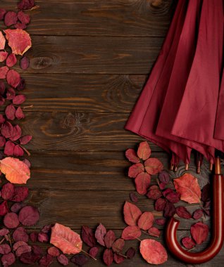 Kızıl sonbahar yaprakları ve şemsiye bordo co düz yatıyordu çerçeve