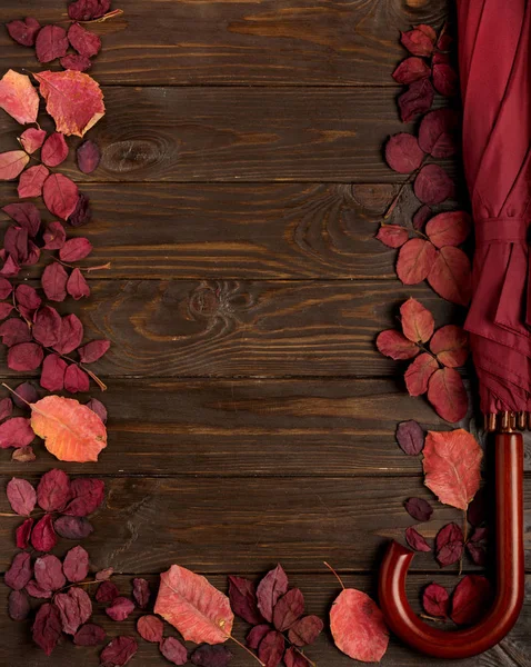 Kızıl sonbahar yaprakları ve şemsiye bordo co düz yatıyordu çerçeve