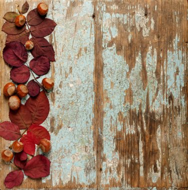 Sonbahar Kızıl yaprak, fındık ve ceviz o düz yatıyordu çerçeve