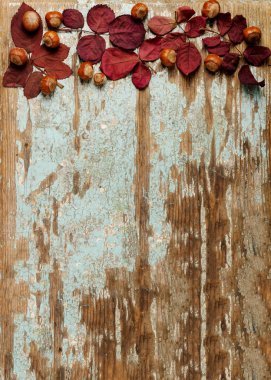 Sonbahar Kızıl yaprak, fındık ve ceviz o düz yatıyordu çerçeve