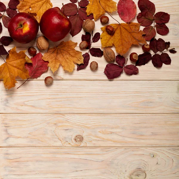 Sonbahar crimson düz yatıyordu çerçevesinde bırakır, fındık, ceviz ve 