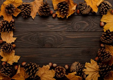 Sonbahar yaprakları, koni ve fındık bir ahşap arka düz yatıyordu çerçeve