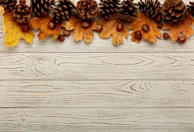 Sonbahar yaprakları, koni ve fındık bir ahşap arka düz yatıyordu çerçeve