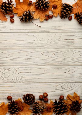 Sonbahar yaprakları, koni ve fındık bir ahşap arka düz yatıyordu çerçeve