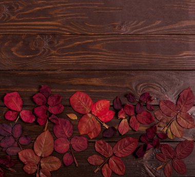 Koyu ahşap backgro sonbahar Kızıl yapraklar düz yatıyordu çerçeve