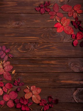 Koyu ahşap backgro sonbahar Kızıl yapraklar düz yatıyordu çerçeve