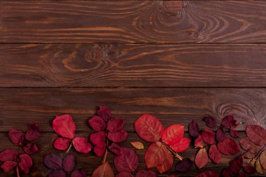 Koyu ahşap backgro sonbahar Kızıl yapraklar düz yatıyordu çerçeve
