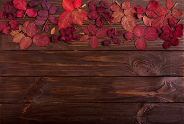 Koyu ahşap backgro sonbahar Kızıl yapraklar düz yatıyordu çerçeve