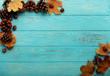 Sonbahar yaprakları, koni ve fındık bir ahşap arka düz yatıyordu çerçeve