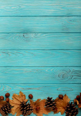 Sonbahar yaprakları, koni ve fındık bir ahşap arka düz yatıyordu çerçeve