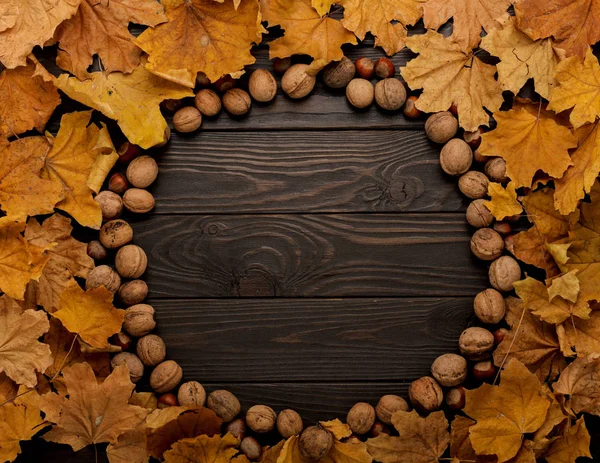 Sonbahar yaprakları ve fındık ahşap arka plan üzerinde düz yatıyordu çerçeve.