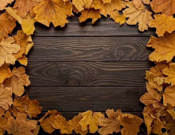 Ahşap arka plan üzerinde sonbahar yaprak düz yatıyordu çerçeve. 