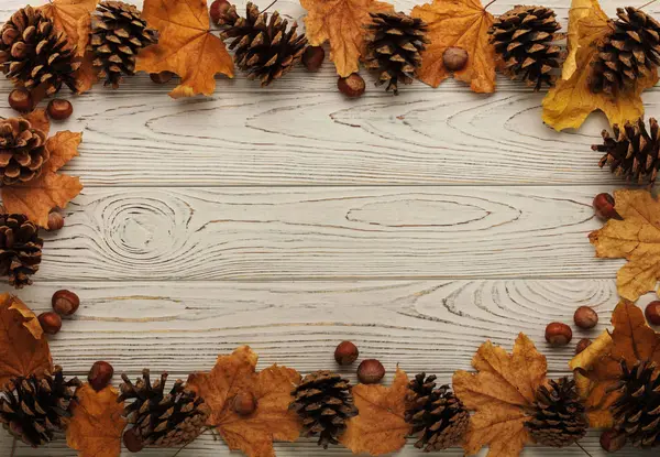 Sonbahar yaprakları, koni ve fındık bir ahşap arka düz yatıyordu çerçeve