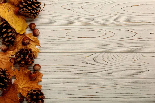 Sonbahar yaprakları, koni ve fındık bir ahşap arka düz yatıyordu çerçeve