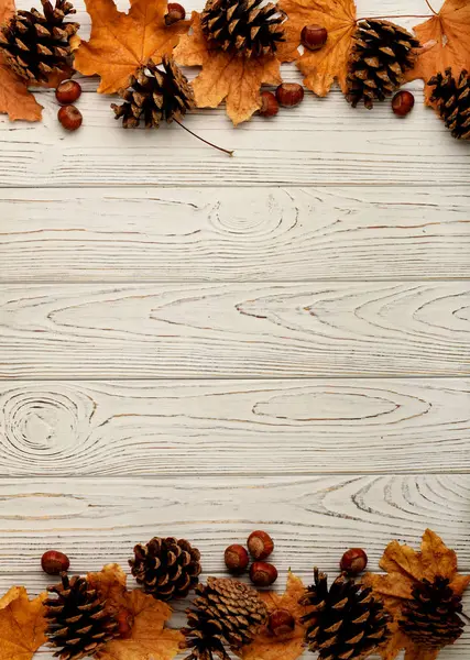 Sonbahar yaprakları, koni ve fındık bir ahşap arka düz yatıyordu çerçeve