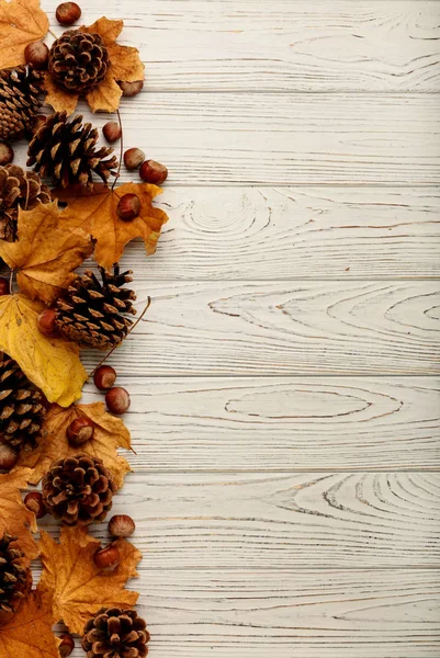 Sonbahar yaprakları, koni ve fındık bir ahşap arka düz yatıyordu çerçeve