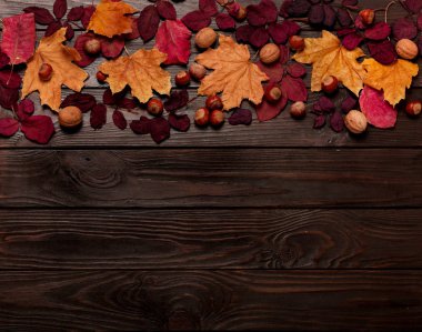 Düz yatıyordu çerçeve sonbahar koyu kırmızı ve sarı yapraklar, fındık, w