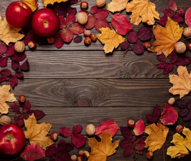 Düz yatıyordu çerçeve sonbahar koyu kırmızı ve sarı yapraklar, fındık, w