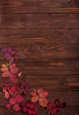 Koyu ahşap backgro sonbahar Kızıl yapraklar düz yatıyordu çerçeve
