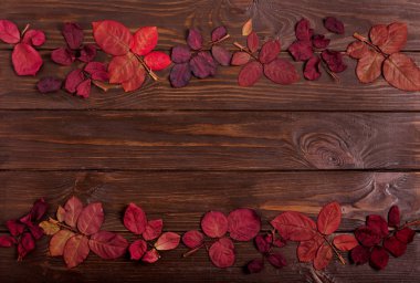 Koyu ahşap backgro sonbahar Kızıl yapraklar düz yatıyordu çerçeve