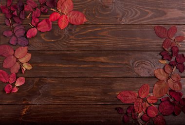 Koyu ahşap backgro sonbahar Kızıl yapraklar düz yatıyordu çerçeve